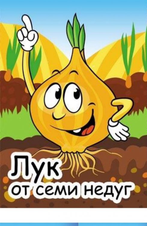 img (2)